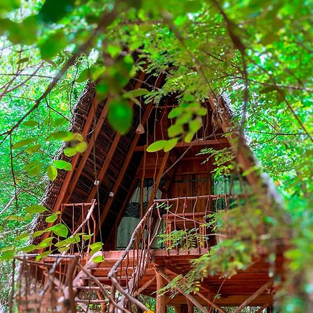 Habarana Tree House Ambasewana Resort Luaran gambar