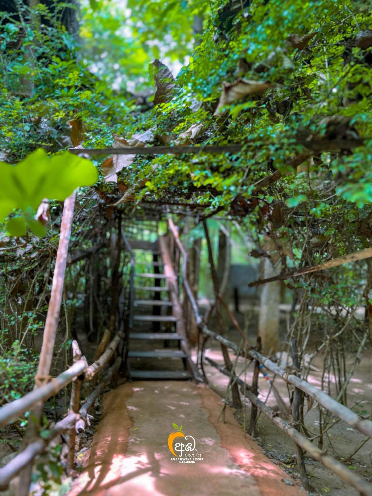 Habarana Tree House Ambasewana Resort Bilik gambar