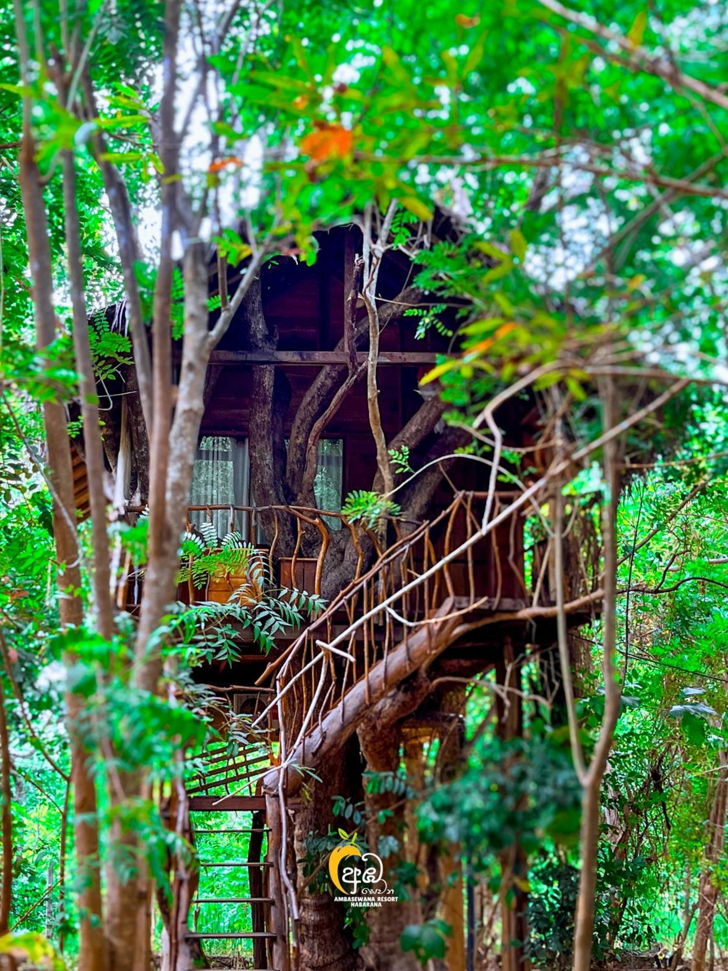 Habarana Tree House Ambasewana Resort Luaran gambar