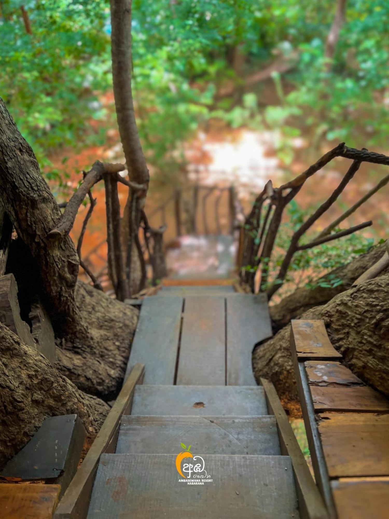 Habarana Tree House Ambasewana Resort Bilik gambar